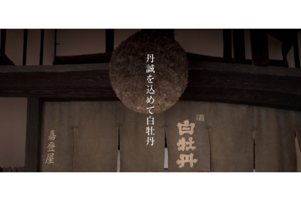 白牡丹酒造株式会社のリーフレット制作実績