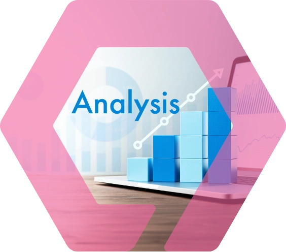 調査・分析